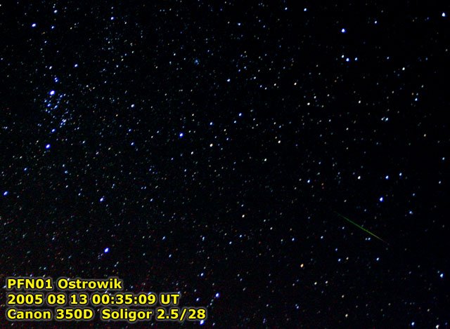 Perseid 2005